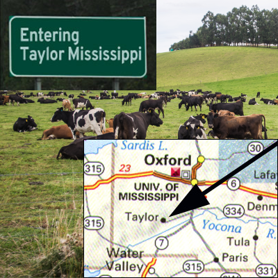 Entering Taylor MS sign and map showing location of Taylor with cows in a pasture in the background